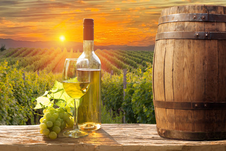 Glass Of Wine With Grapes And Barrel On A Sunny Background. Italy Tuscany With Grapes And Barrel On A Sunny Background. Italy Tuscany Region. High quality photoの写真素材