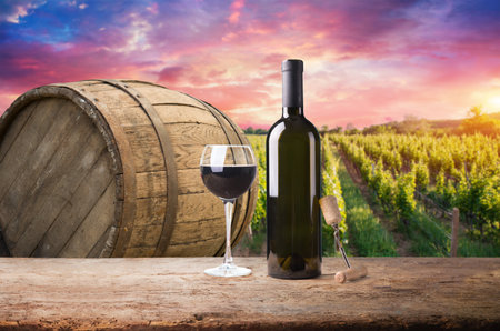 Barrel Wineglasses Cheese And Bottle In Vineyardの写真素材