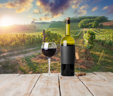 Barrel Wineglasses Cheese And Bottle In Vineyardの写真素材