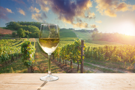 Barrel Wineglasses Cheese And Bottle In Vineyardの写真素材