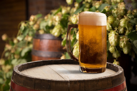 mug of beer, wheat ears, green hopsの写真素材