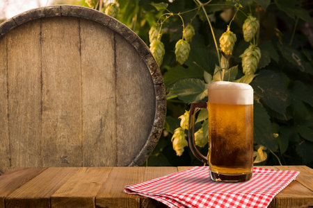 mug of beer, wheat ears, green hopsの写真素材