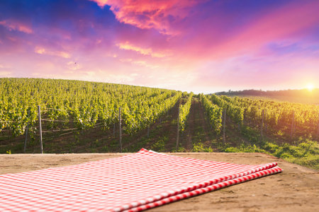 Vineyard at sunrise in San Gimignano Tuscanyの写真素材