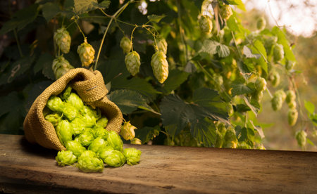 Oktoberfest beer barrel and beer glasses withの写真素材