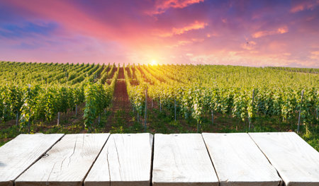Red wine bottle and wine glass onの写真素材