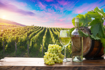 Glass Of Wine With Grapes And Barrelの写真素材