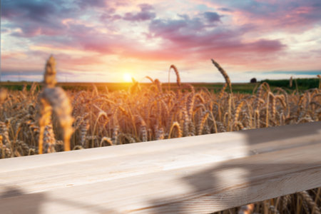 wood board table in front of fieldの写真素材