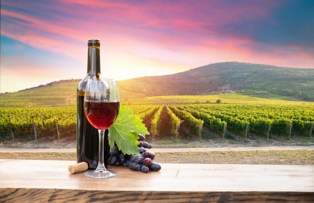 Red wine bottle and wine glass onの写真素材