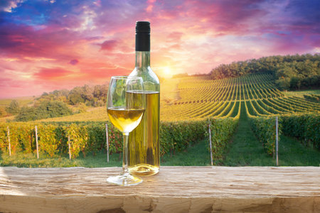 Red wine bottle and wine glass onの写真素材