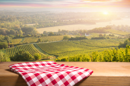 Bolgheri and Castagneto vineyards sunrise backlight inの写真素材