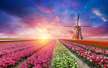 Windmill in Holland Michigan - An authenticの写真素材