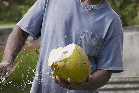Fresh coconut being opened with a macheteの写真素材