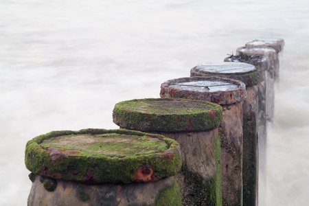 Wooden posts in sea (narrow dof)の写真素材