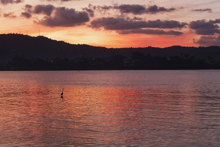 Sunset at sea with a silhouette of a heron