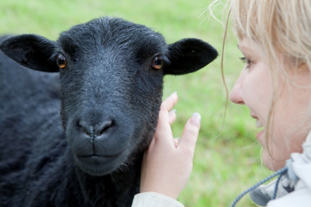 Woman making friends with a sheepの写真素材