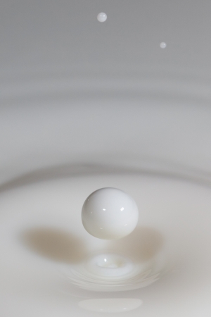 Macro image of a droplet of milkの写真素材