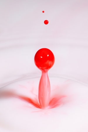 Macro image of a droplet of milk in redの写真素材