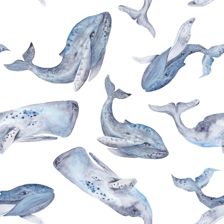 Seamless texture with grey and blue hand-painted sea animals isolated on white backgroundの写真素材