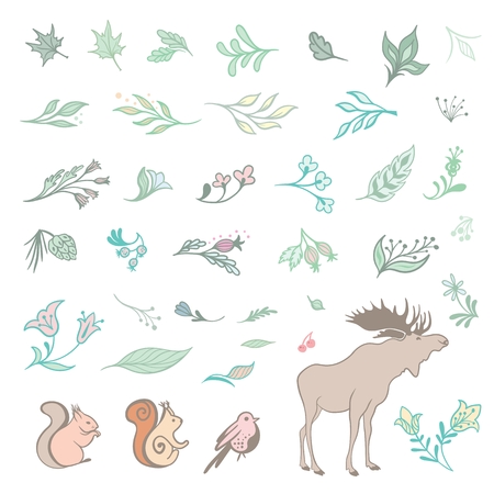 flowers, leaves, herbs and animals in pastel colors in sketch styleのイラスト素材