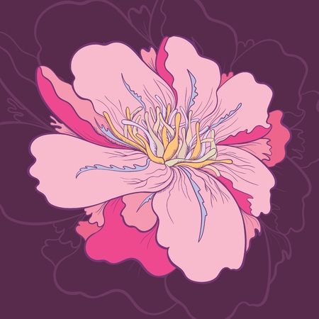 Detailed Sketch floral card illustration with pink peony flower on maroon backgroundのイラスト素材