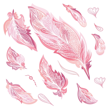 Romantic Vector Feathers Setのイラスト素材