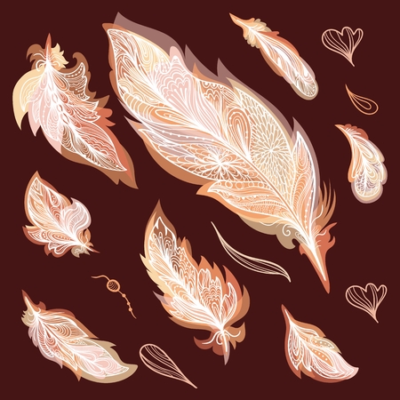 Fall Vector Feathers Setのイラスト素材