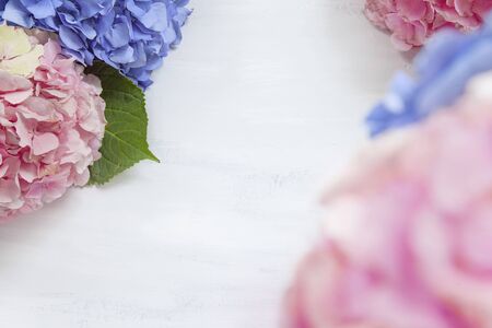 Pastel colored Hydrangea Flowers on White painted table