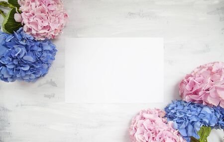 Pastel colored Hydrangea Flowers on White painted tableの写真素材