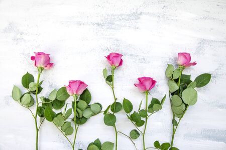 Flatlay composition made of pink rose flowers on white tableの写真素材