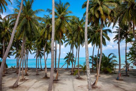 Mathivery island nature ocean Lanscape
