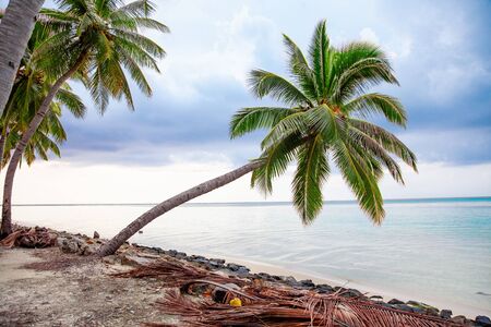 Mathivery island nature ocean Lanscape