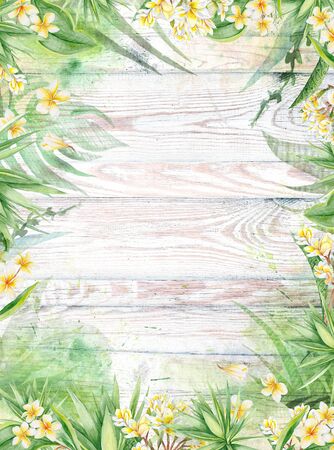Plants botanic frame with plumeria flowers and yucca treeの写真素材