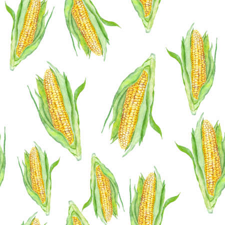 Seamless watercolor background with sweet corn paintingの写真素材