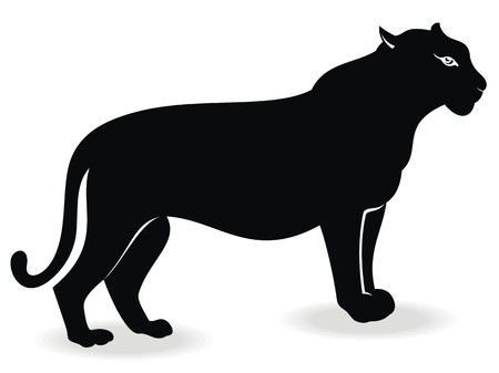 Cougarのイラスト素材