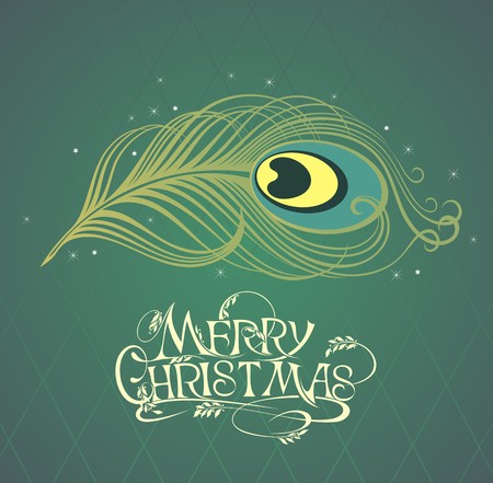 Vector isolated peacock featherのイラスト素材