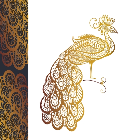 Vector illustration of peacockのイラスト素材