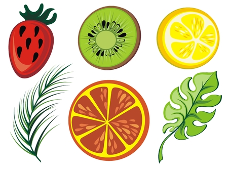 Summer icon collection. Vector tropical set with exotic fruit, leavesのイラスト素材