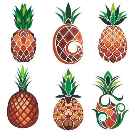 illustration set of pineapple in different typesのイラスト素材