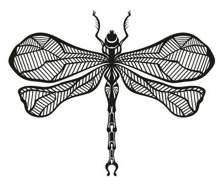 Dragonfly hand drawn graphic illustrationのイラスト素材