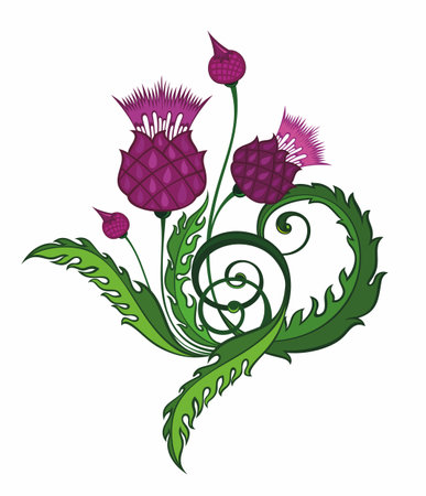 Vector sketch hand drawn artichoke illustration on white backgroundのイラスト素材