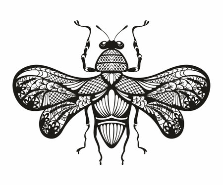 Queen Bee. Inspirations . Hand drown illustrationのイラスト素材