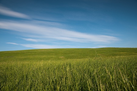 country landscape with a green field and blue skyの写真素材