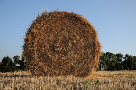 Hay bale in country sunsetの写真素材