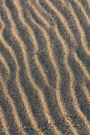 sand designの写真素材