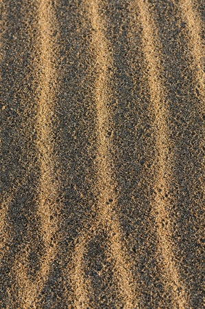 sand designの写真素材
