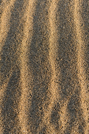sand designの写真素材