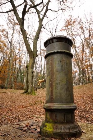 autumn forest and old fountainの写真素材