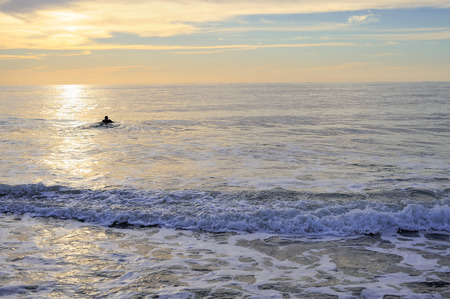 alone surfer in the sunsetの写真素材