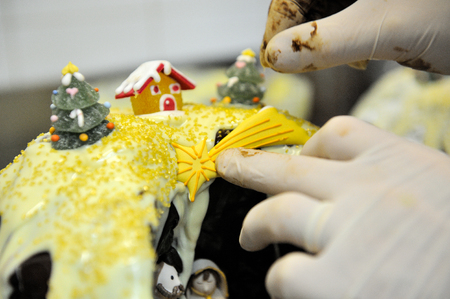 polar star up to traditional chocolat italian christmas italian cakeの写真素材