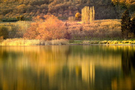 Deep autumnの写真素材